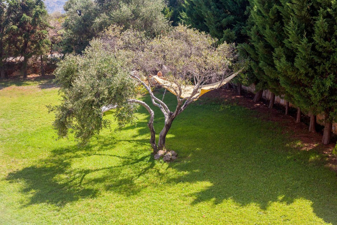 Mg Cozy Garden View Studio Korakiaí Exteriör bild